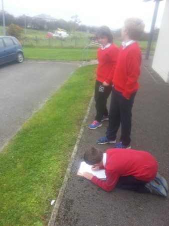 Alana, Niall and Tim survey the passing vehicles to make a bar chart.